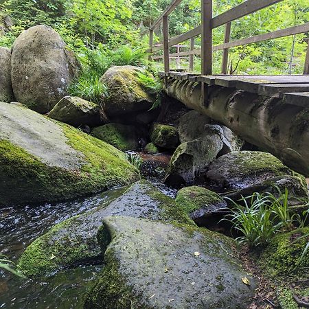 Waldgasthaus & Berghotel Steinerne Renne Wernigerode Dış mekan fotoğraf