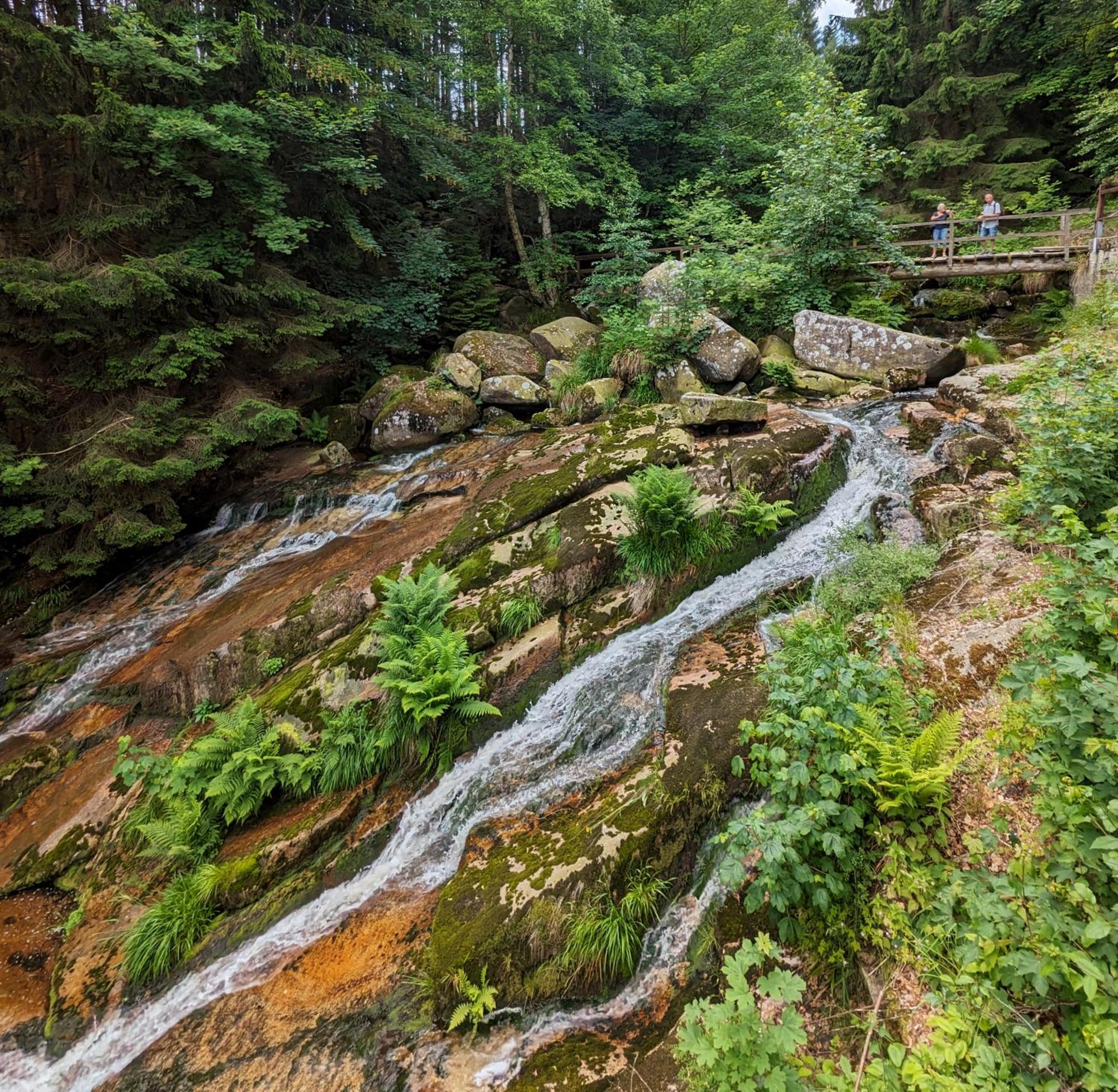 Waldgasthaus & Berghotel Steinerne Renne Wernigerode Dış mekan fotoğraf