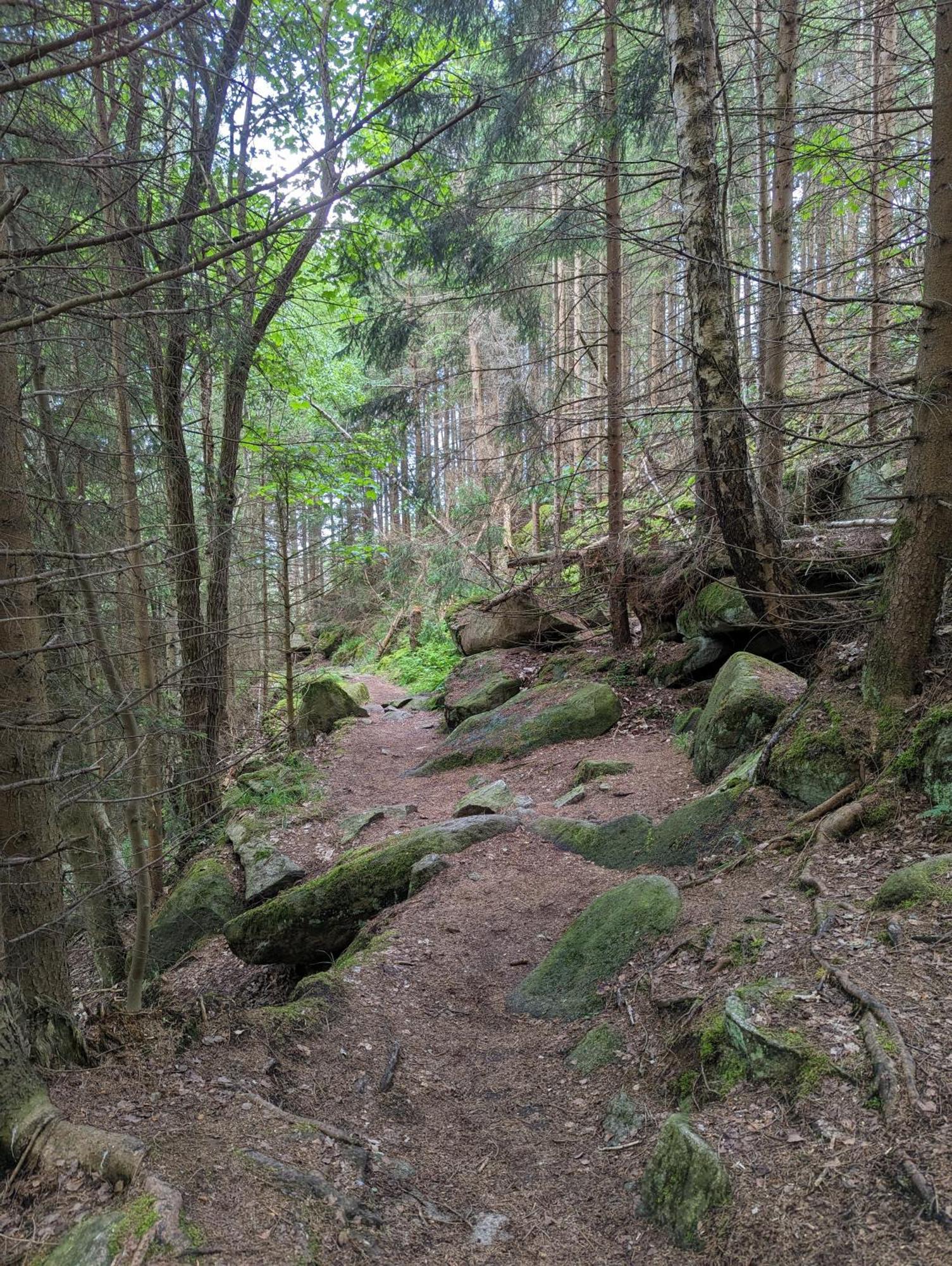 Waldgasthaus & Berghotel Steinerne Renne Wernigerode Dış mekan fotoğraf