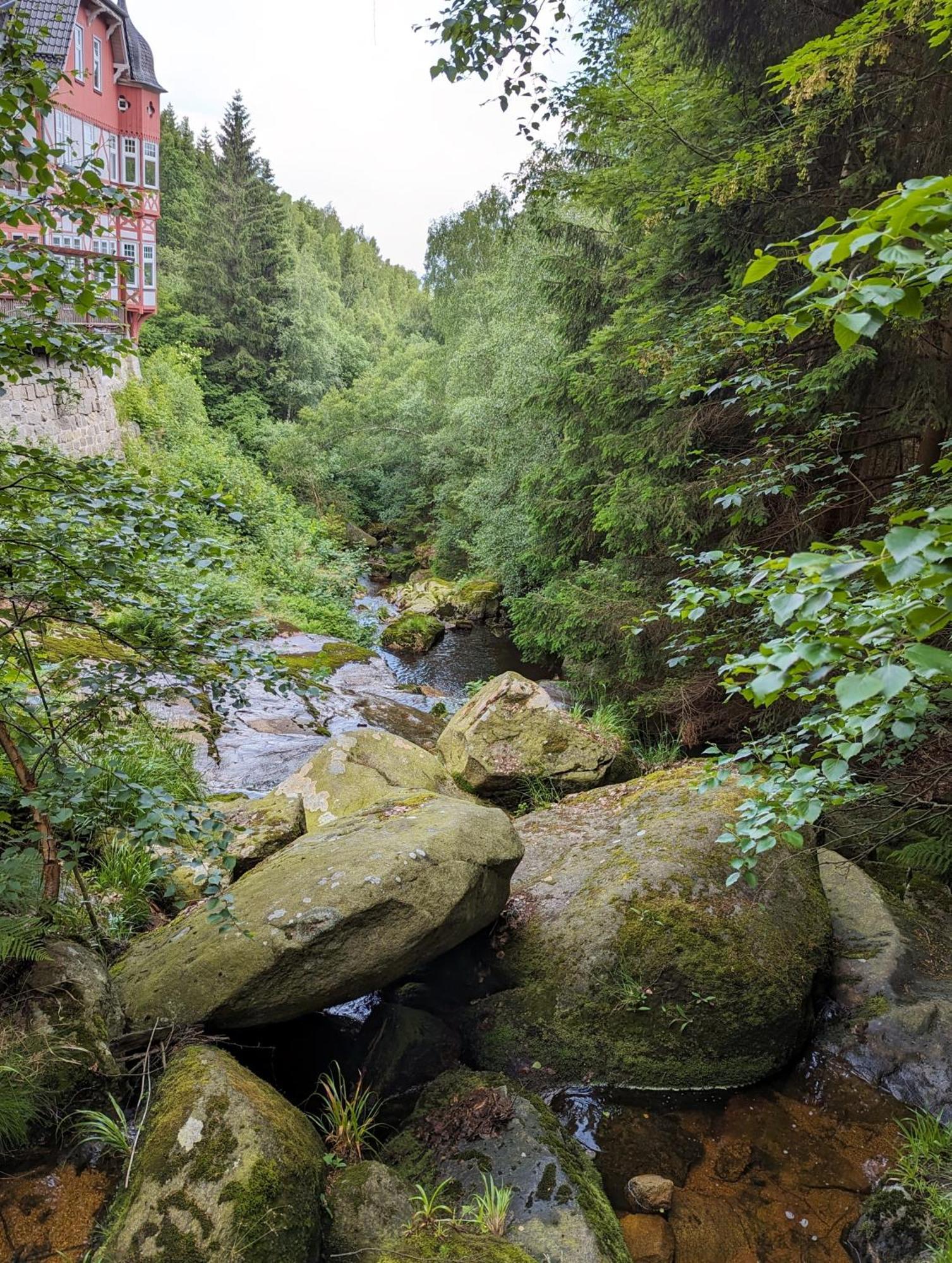 Waldgasthaus & Berghotel Steinerne Renne Wernigerode Dış mekan fotoğraf