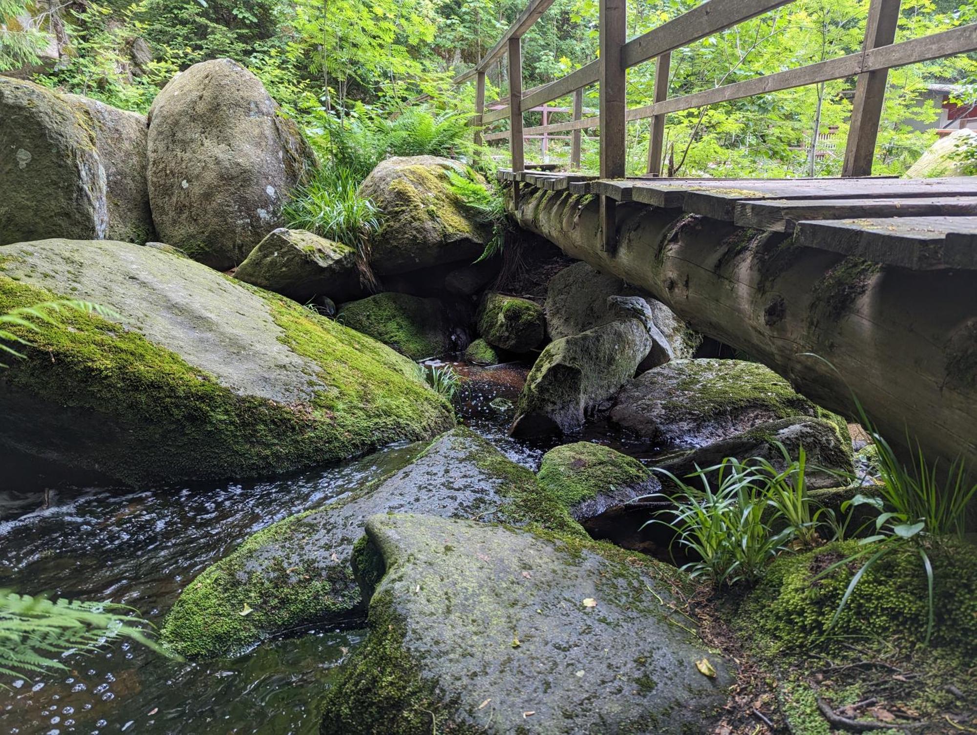 Waldgasthaus & Berghotel Steinerne Renne Wernigerode Dış mekan fotoğraf