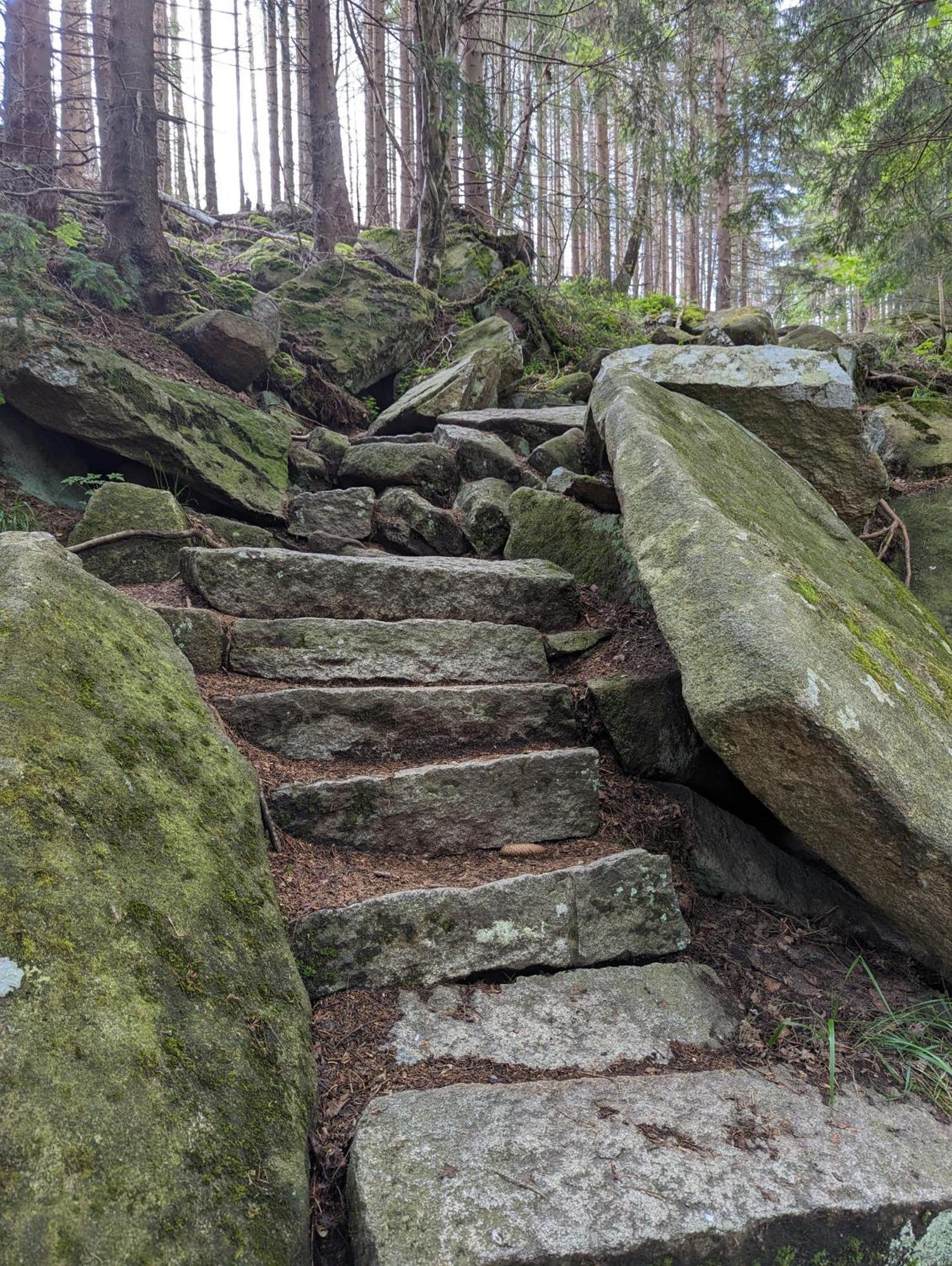 Waldgasthaus & Berghotel Steinerne Renne Wernigerode Dış mekan fotoğraf